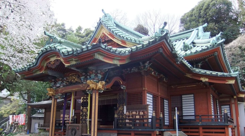 Foto “Jūjō” tomada por Tak1701d (CC BY-SA); recorte de la original