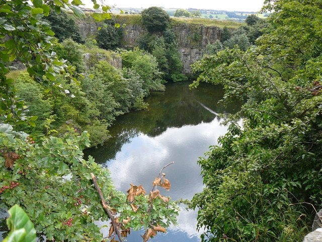 Photo "Harmby" by Tony Wells (CC BY-SA) / Cropped from original