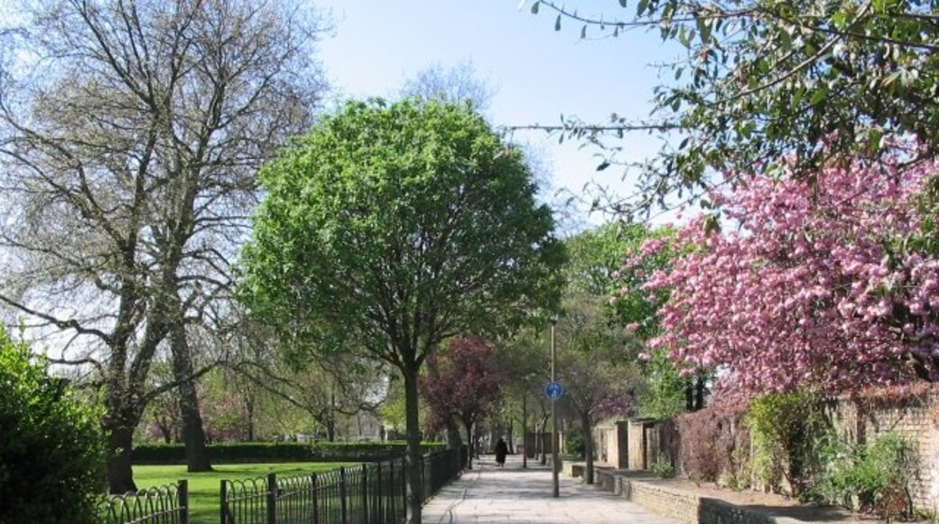 Foto "Homerton" di Vicky Ayech (CC BY-SA) / Ritaglio dell’originale