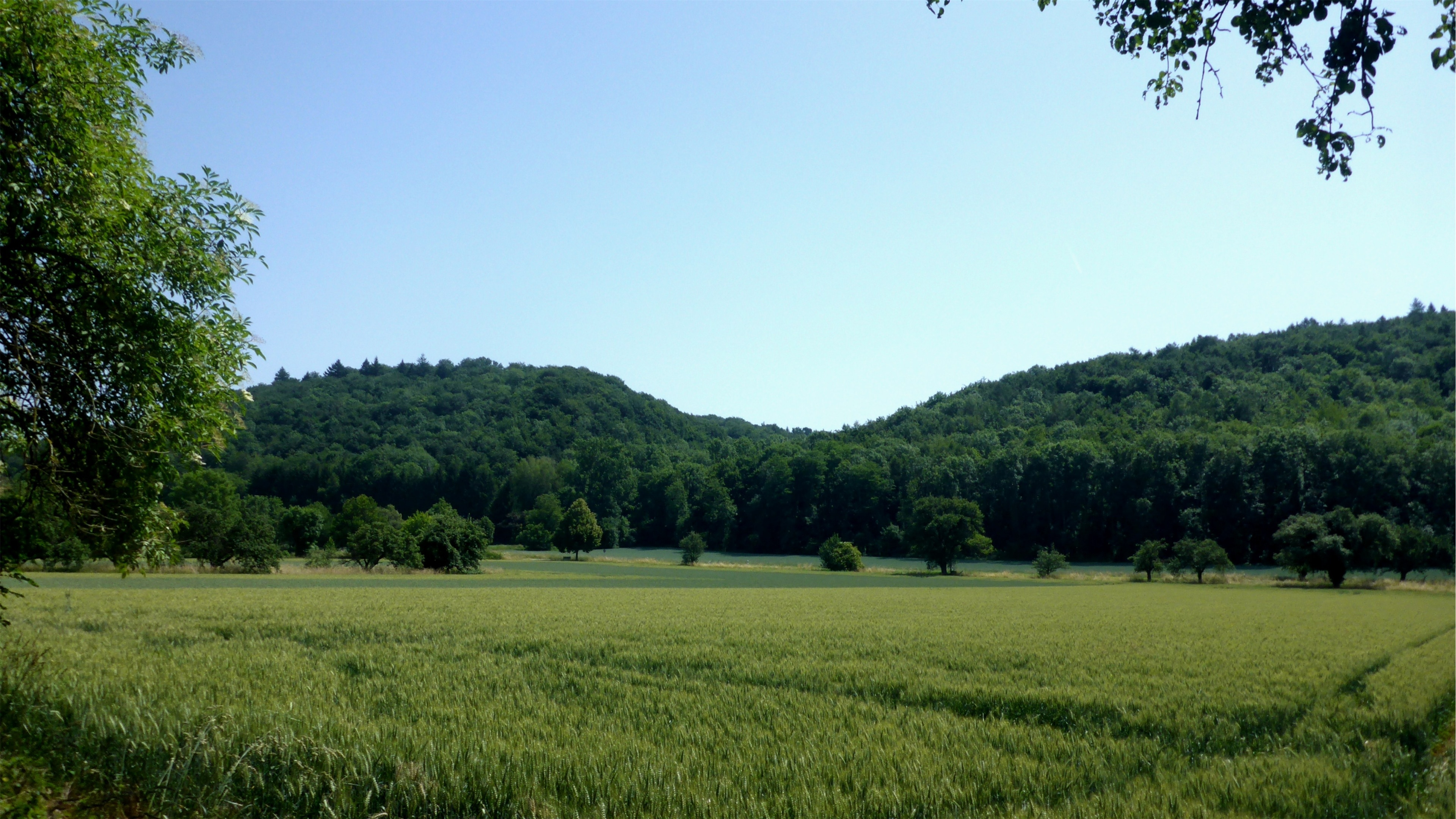"Nördlich der Pfinz"-foto av Günter Josef Radig (CC BY-SA) / Urklipp från original