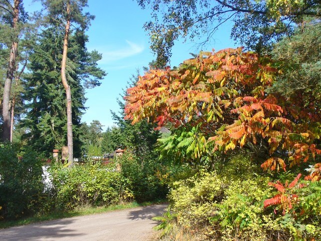 Finkenstein - Herbstlicher Farben (Autumnal Colours)