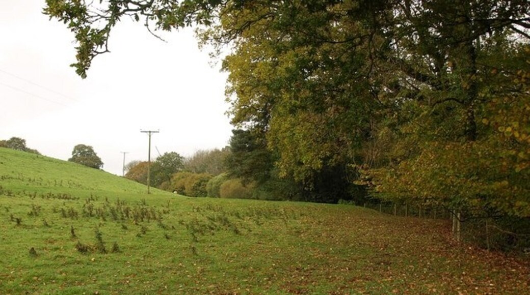 "Thurloxton"-foto av Derek Harper (CC BY-SA) / Urklipp från original