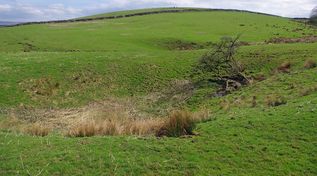 Foto “Scosthrop” tomada por Ian Taylor (CC BY-SA); recorte de la original