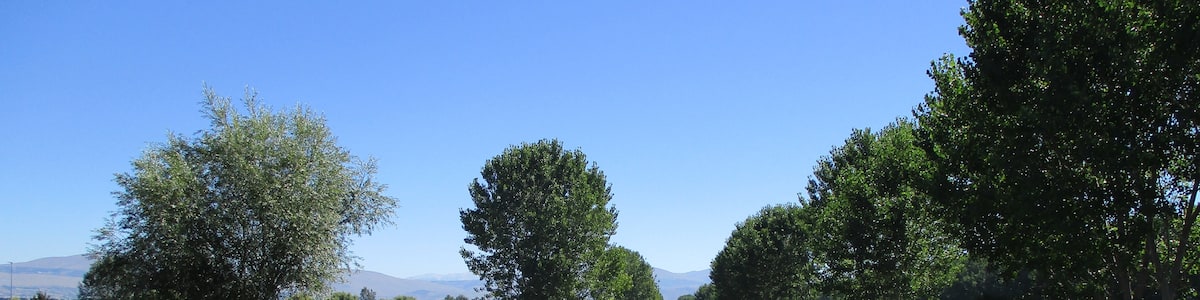 Photo "Uno dei canali del Fucino" by Rudy Massaro (Creative Commons Attribution-Share Alike 4.0) / Cropped from original