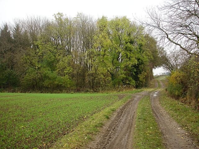 Kuva ”Whorlton” käyttäjältä Andy Waddington (CC BY-SA) / rajattu alkuperäisestä kuvasta