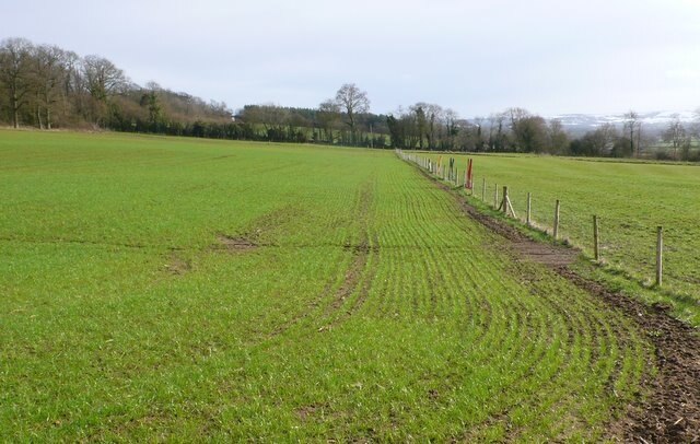 Kuva ”Lillington” käyttäjältä Nigel Mykura (CC BY-SA) / rajattu alkuperäisestä kuvasta