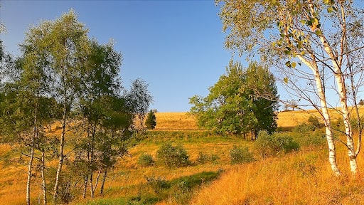 Photo "Moldava" by Karel Basta (CC BY) / Cropped from original