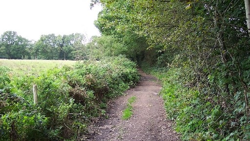 Photo "West End" by Ron Strutt (CC BY-SA) / Cropped from original