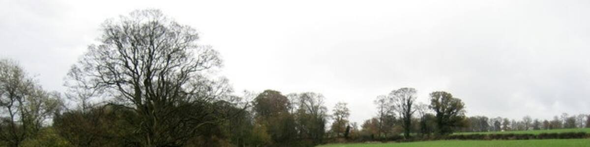 Photo "Teesdale Way approaching Rokeby Park The long distance footpath follows the edge of the field as it approaches the road beside Rokeby Park." by Chris Heaton (Creative Commons Attribution-Share Alike 2.0) / Cropped from original