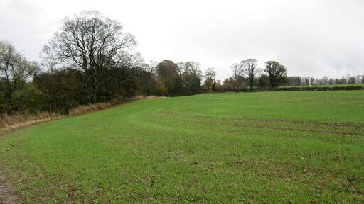 Foto "Brignall" di Chris Heaton (CC BY-SA) / Ritaglio dell’originale