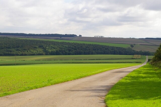 Photo "Kirby Grindalythe" by Charles Rispin (CC BY-SA) / Cropped from original