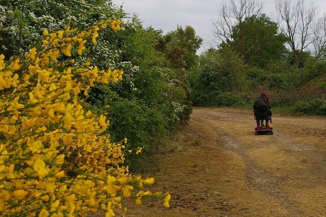 صورة "⁦Fingringhoe⁩" بعدسة ⁦Glyn Baker⁩ (⁦CC BY-SA⁩)/مقصوصة من الصورة الأصلية