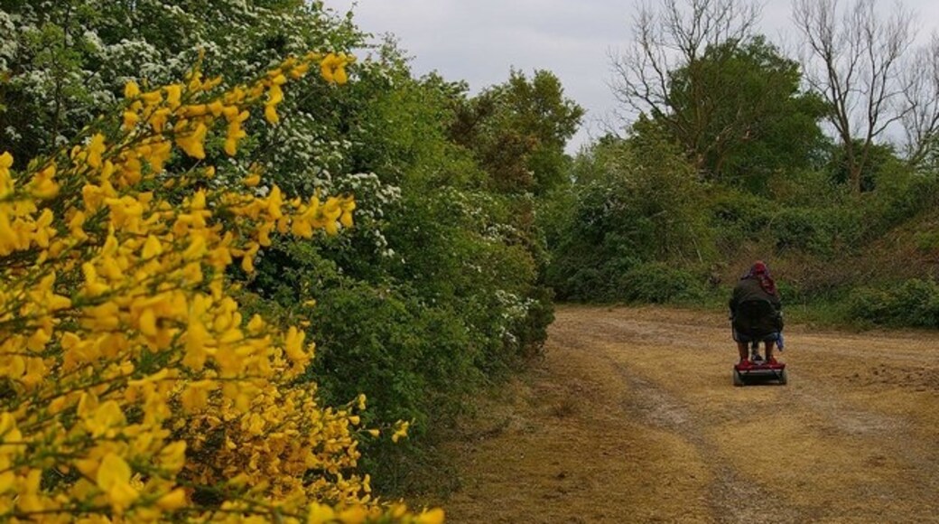 Foto "Fingringhoe" por Glyn Baker (CC BY-SA) / Recortada de la original