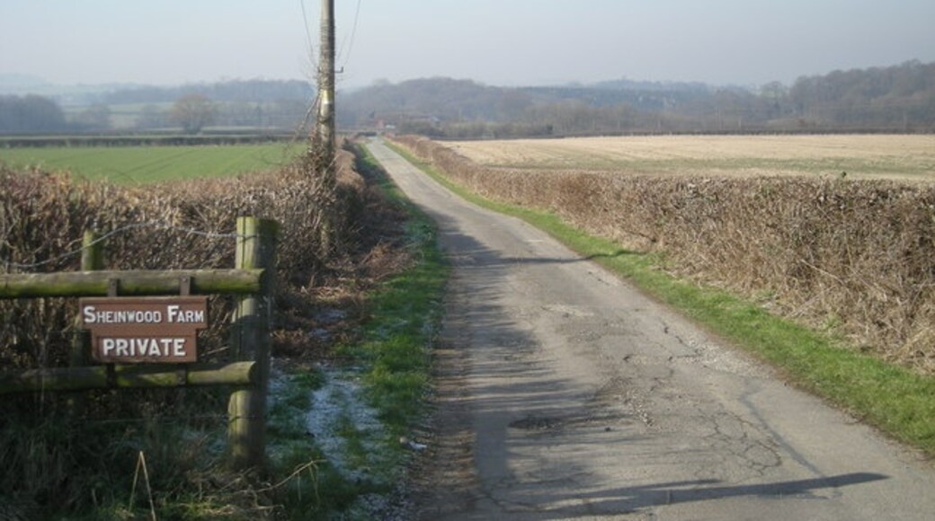 Photo "Sheinton" by Row17 (CC BY-SA) / Cropped from original