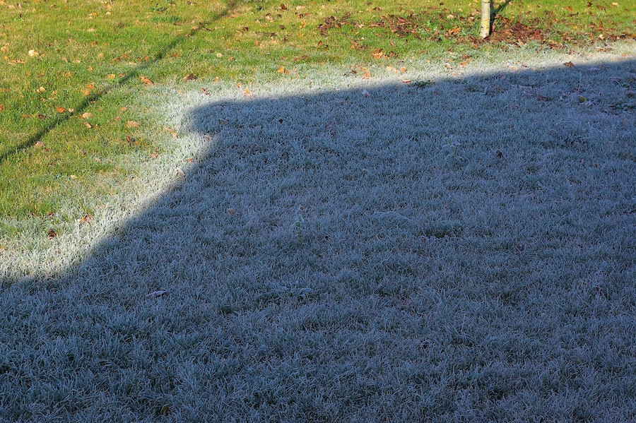 Hoar frost remaining in the shadow and melting in the sun. Saint-Amant, Charente, France.