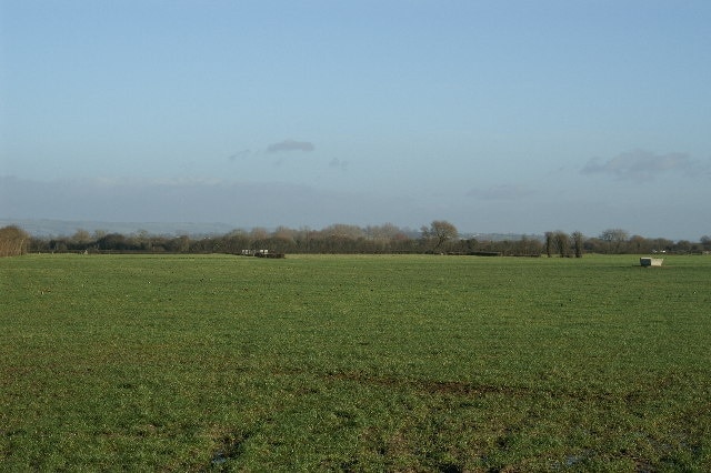 Field on Mark Moor.