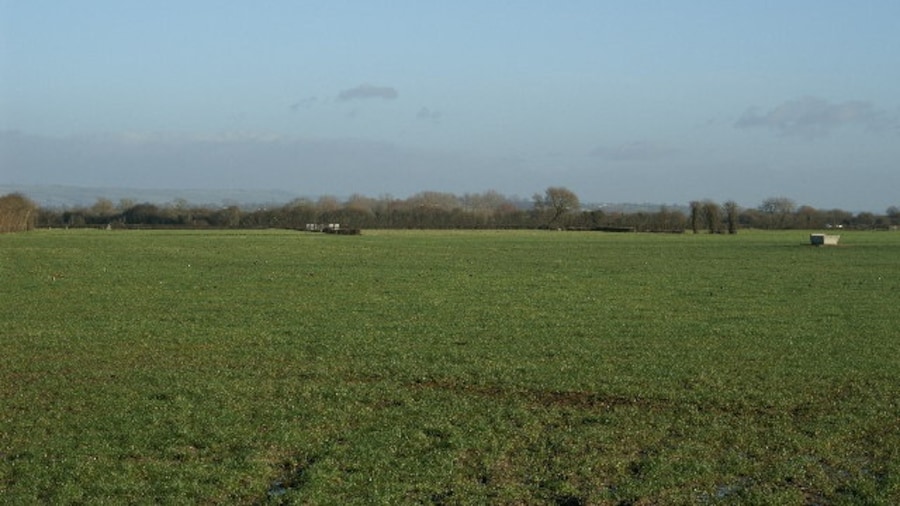 Photo "Field on Mark Moor." by Adrian and Janet Quantock (Creative Commons Attribution-Share Alike 2.0) / Cropped from original