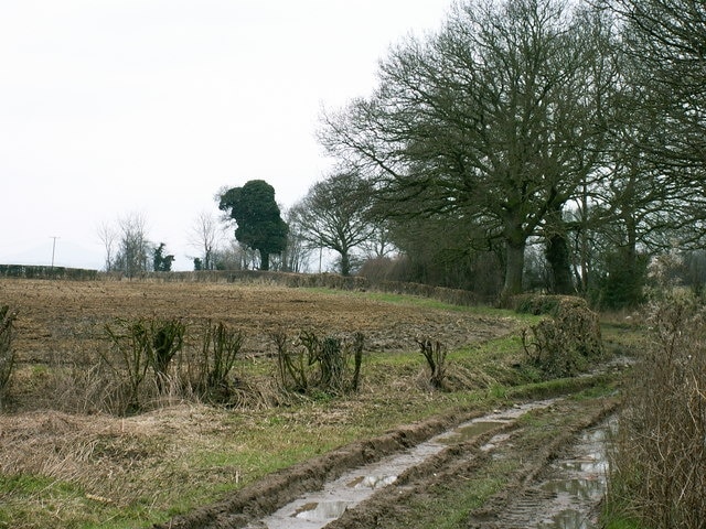 Farmland at Bicton. Bicton Farm, Bicton, north of Shrewsbury, Shropshire.