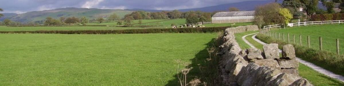 Photo "Looking towards Johnson House" by Ron Shirt (Creative Commons Attribution-Share Alike 2.0) / Cropped from original