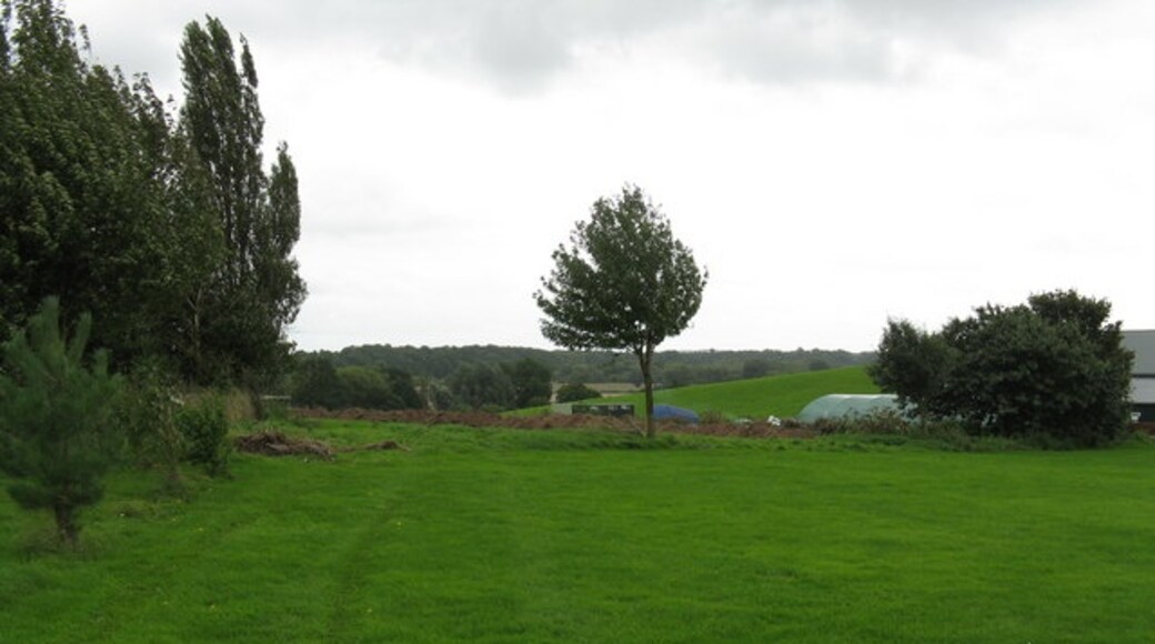 Foto “Holt” tomada por Whatlep (CC BY-SA); recorte de la original