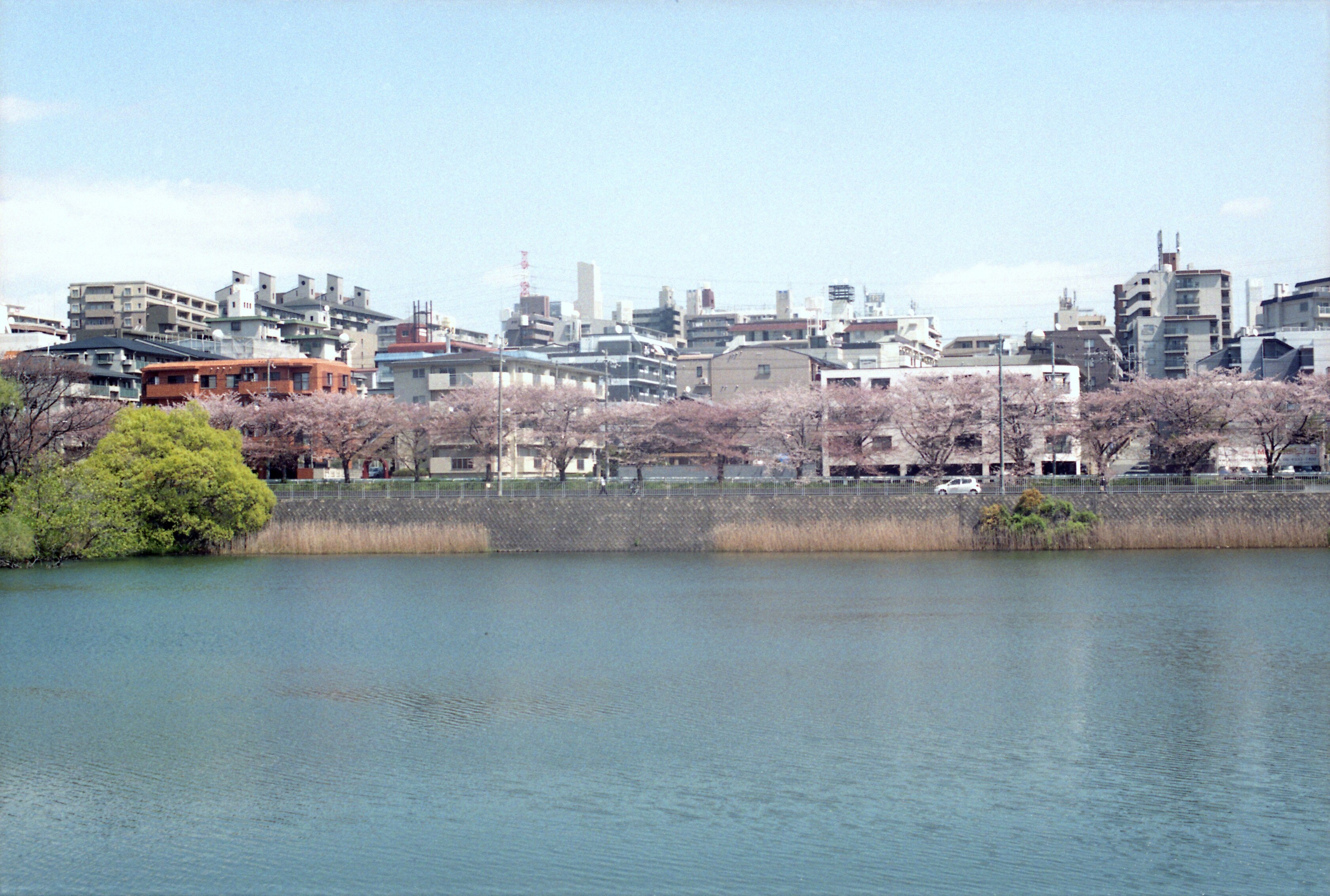 오사카에 위치한 핫토리 료쿠치 공원 | 익스피디아