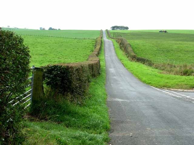 "Nicholforest"-foto av Oliver Dixon (CC BY-SA) / Urklipp från original