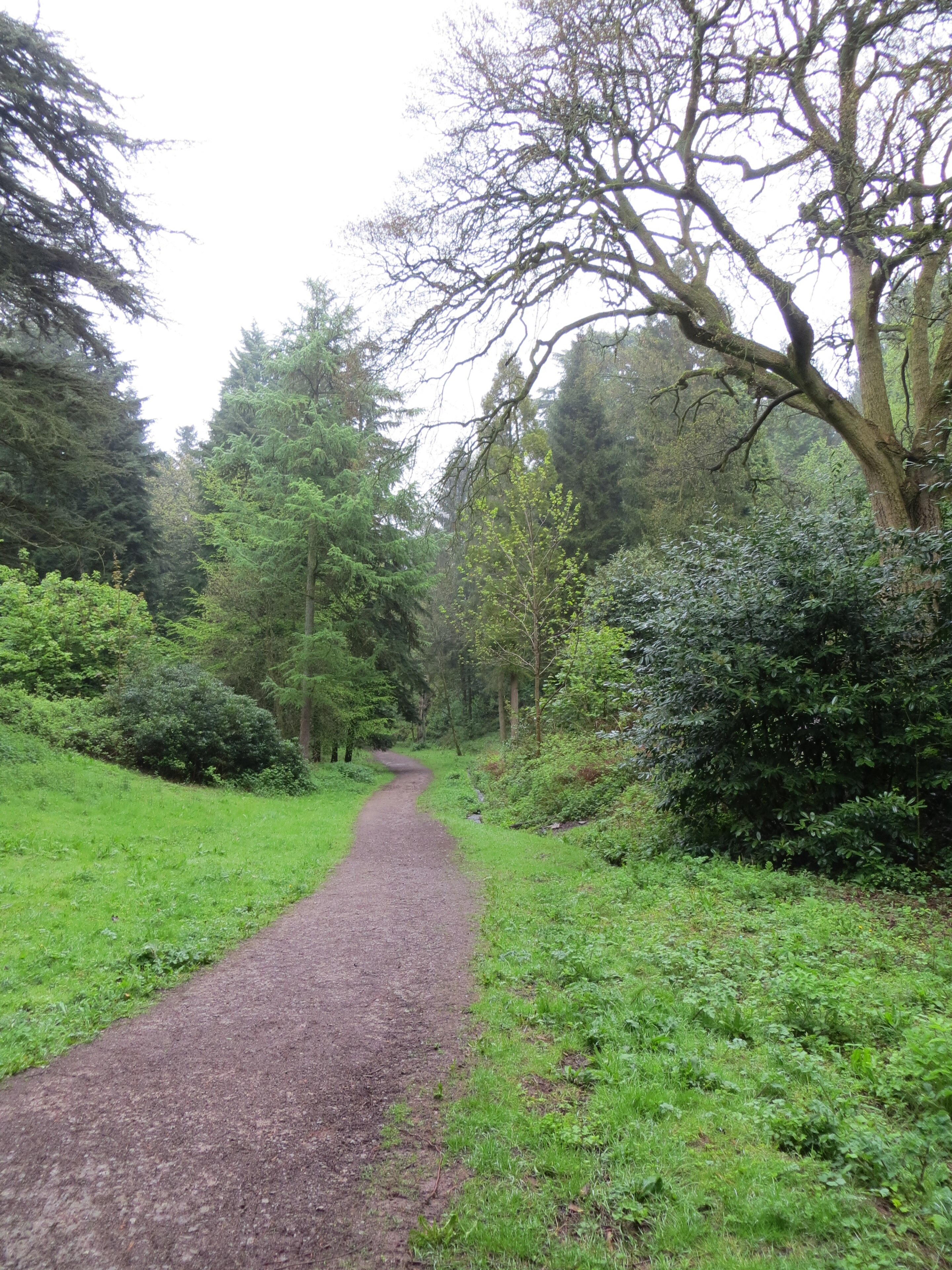 Foto „Abbots Leigh“ von Forester2009 (CC BY-SA)/zugeschnittenes Original