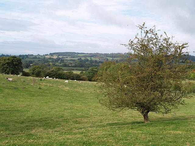 "Thirlby"-foto av Stephen McCulloch (CC BY-SA) / Urklipp från original