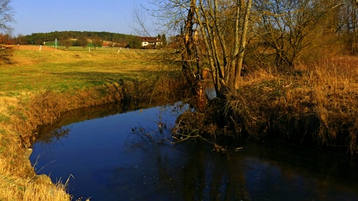 "Tiefenbronn"-foto av Dg-505 (CC BY) / Urklipp från original