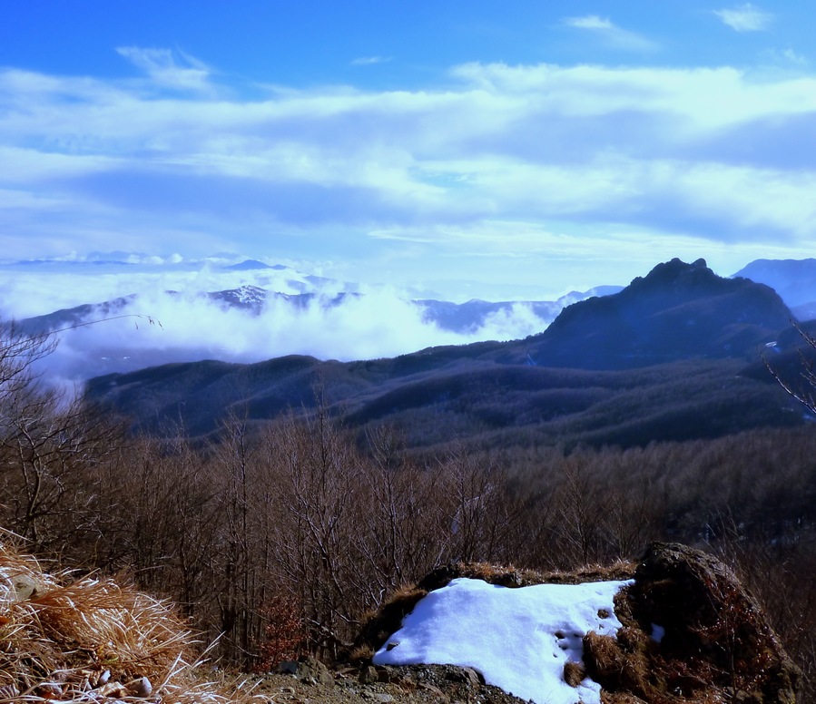 monte Tomarlo