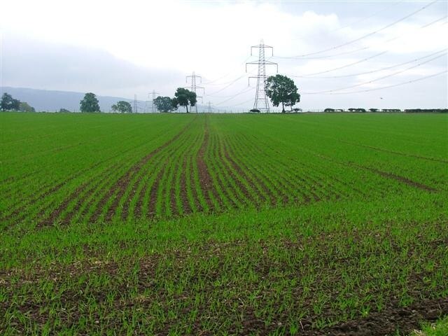 Billede "East Rounton" af Mick Garratt (CC BY-SA) / beskåret fra det originale billede