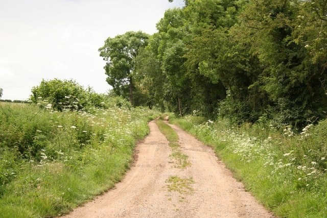 Kuva ”Carlton Scroop” käyttäjältä Richard Croft (CC BY-SA) / rajattu alkuperäisestä kuvasta