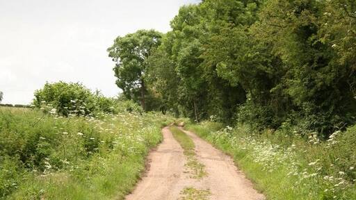 Foto „Carlton Scroop“ von Richard Croft (CC BY-SA)/zugeschnittenes Original