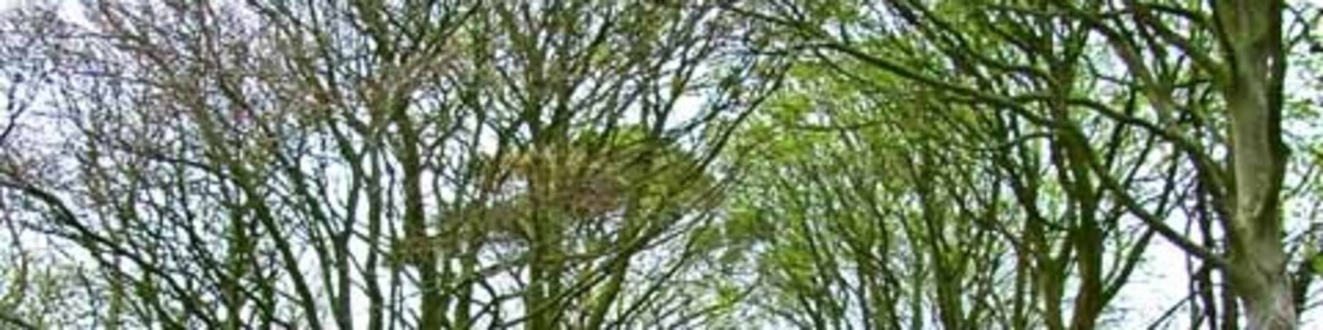 Inch, Stranraer, Escócia, Reino Unido