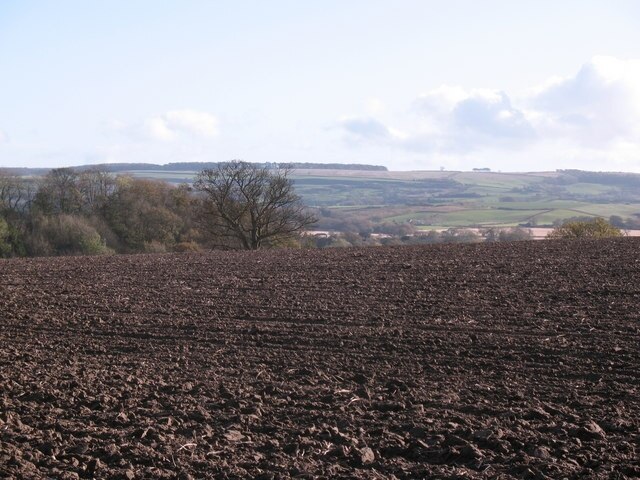 Photo "Huttons Ambo" by Gordon Hatton (CC BY-SA) / Cropped from original