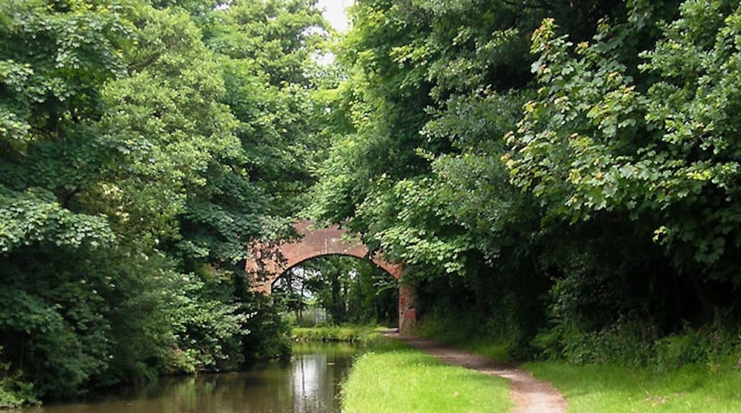 Photo "Armitage" by Roger Kidd (CC BY-SA) / Cropped from original