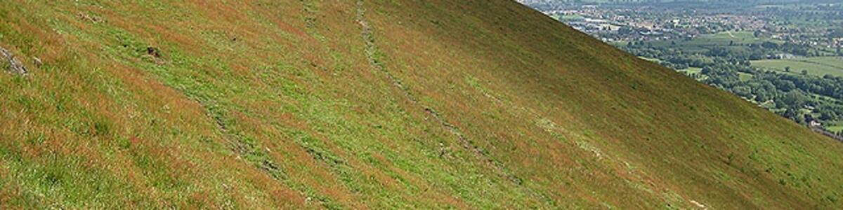 Photo "A wedge of Worcestershire hillside Not quite a forty five degree angle but a sharp drop down Pinnacle Hill to the flat plain below." by Pauline Eccles (Creative Commons Attribution-Share Alike 2.0) / Cropped from original