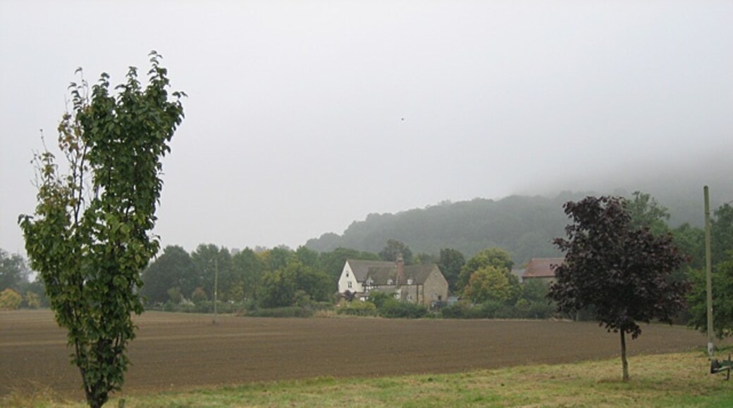 Photo "Teddington" by Dave Bushell (CC BY-SA) / Cropped from original