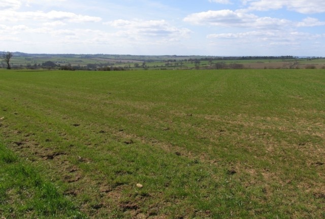 Fields This corner of the square is mostly field! In the distance the John O'Gaunt disused railway viaduct is visible (see enlarged view 151793)