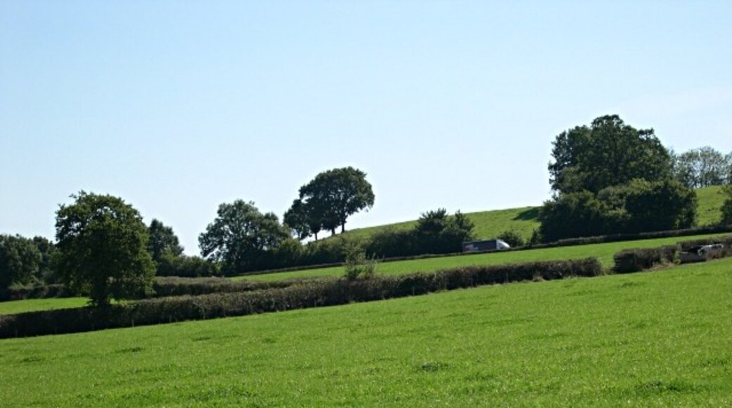 Kuva ”Combe Raleigh” käyttäjältä Tony Atkin (CC BY-SA) / rajattu alkuperäisestä kuvasta