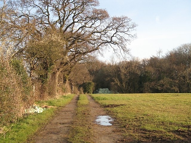 Foto „Duckington“ von Richard Webb (CC BY-SA)/zugeschnittenes Original