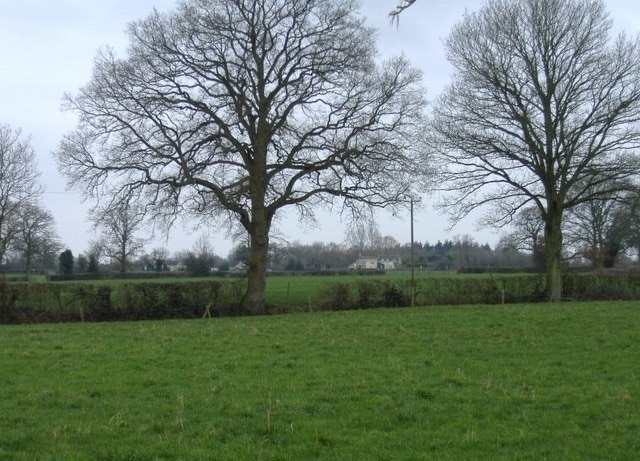 Bullock's Horn farm Glimpsed across the fields, from Cloatley.