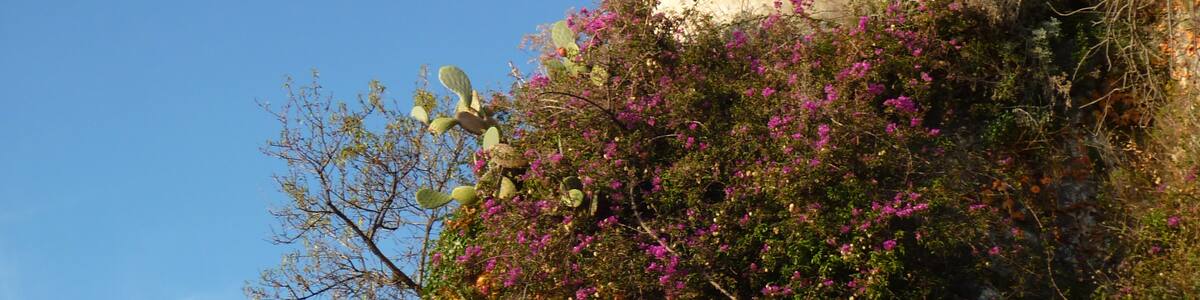 Photo "This building is classé au titre des Monuments Historiques. It is indexed in the Base Mérimée, a database of architectural heritage maintained by the French Ministry of Culture, under the reference PA00080920 ." by Broenberr (Creative Commons Attribution-Share Alike 3.0) / Cropped from original