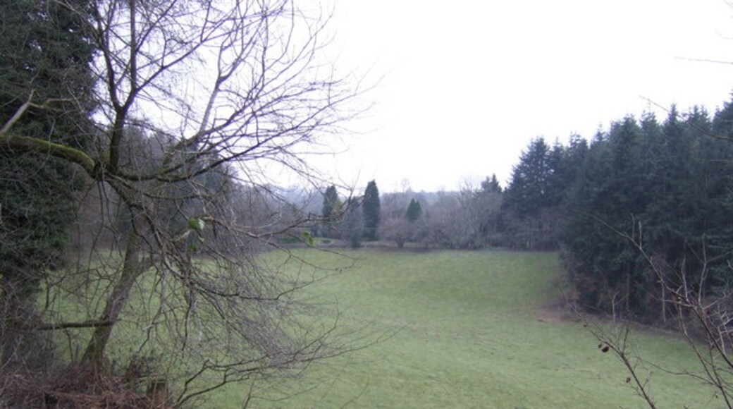 Foto "Titley" de Jonathan Billinger (CC BY-SA) / Recortada de la original