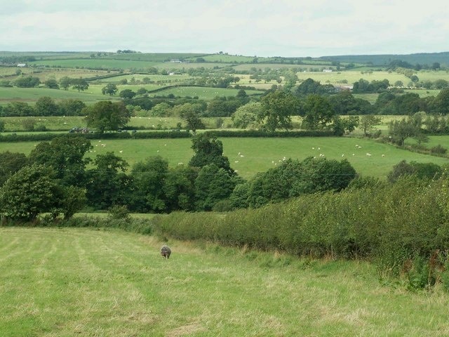 "Stapleton"-foto av Rose and Trev Clough (CC BY-SA) / Urklipp från original