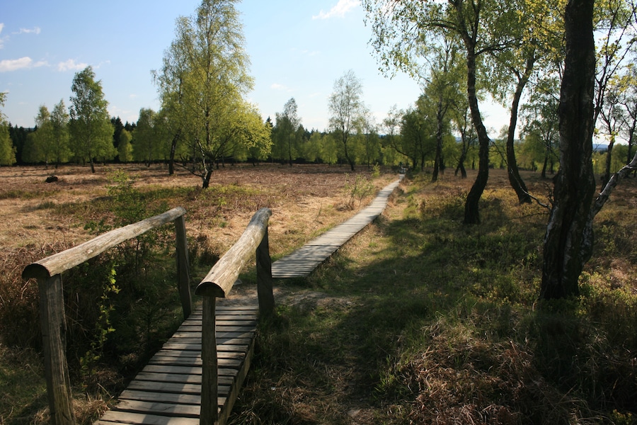 This is a picture of the protected area listed at WDPA under the ID