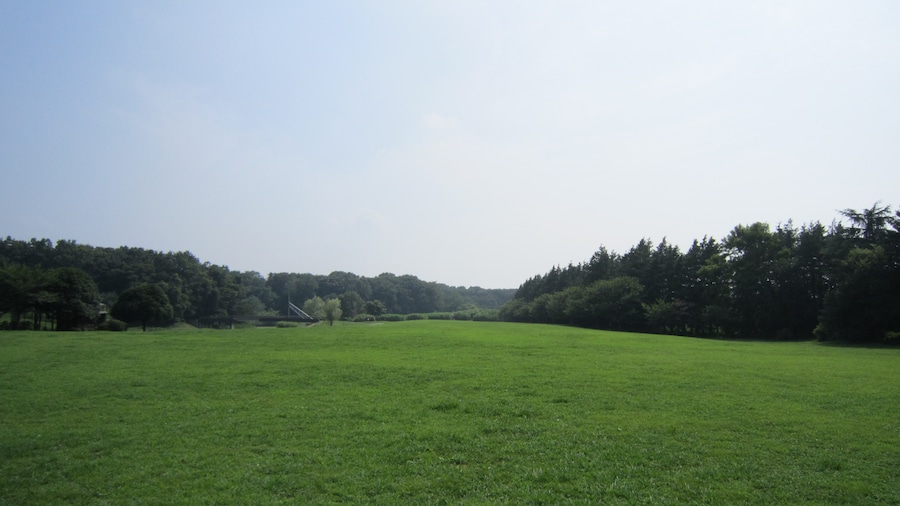 Photo "古河総合公園内（古河市）" by ☆ブロッコリーマン☆ (Creative Commons Attribution 3.0) / Cropped from original