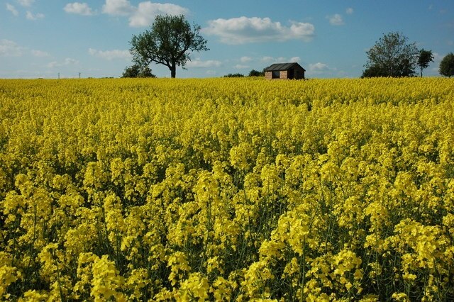 Billede "Sevenhampton" af Philip Halling (CC BY-SA) / beskåret fra det originale billede