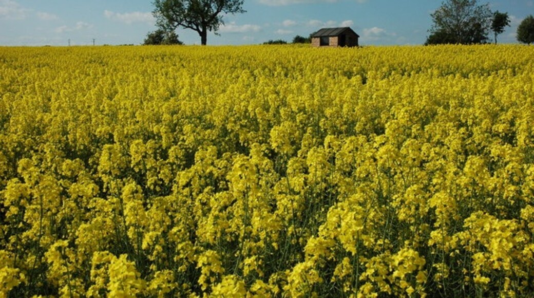 "Sevenhampton"-foto av Philip Halling (CC BY-SA) / Urklipp från original