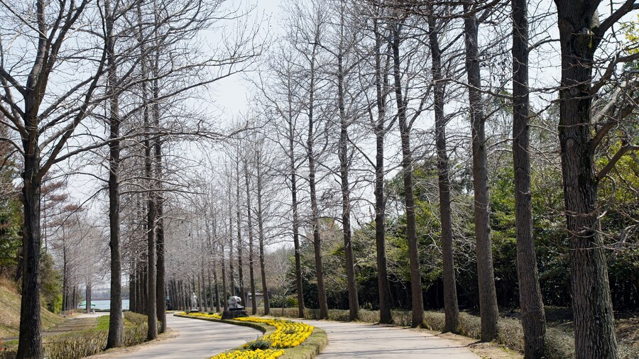 Photo "Hyogo Prefectural Flower Center in Kasai, Hyogo prefecture, Japan." by 663highland (Creative Commons Attribution 2.5) / Cropped from original